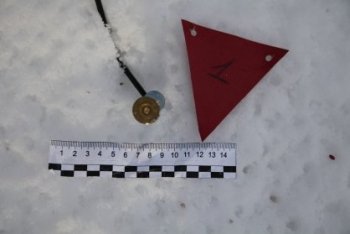 Завершено расследование по делу об убийстве по неосторожности на охоте